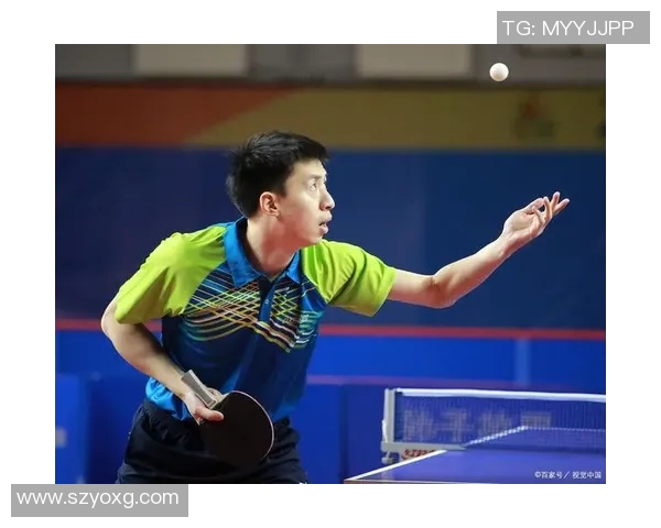 深入探讨上海乒乓球队技术表现的数据分析与发展趋势