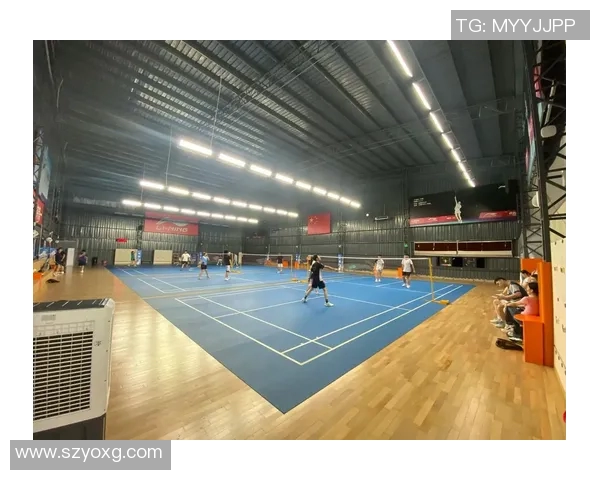 羽毛球的魅力与精神：深入了解杭州羽毛球队的团队意识与文化传承