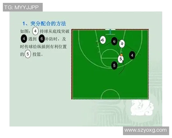 篮球魅力无穷：深入解析北京篮球队的战术灵活性与团队协作