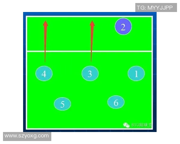 重庆排球队的防反战术解析与深度剖析排球竞技的魅力与挑战