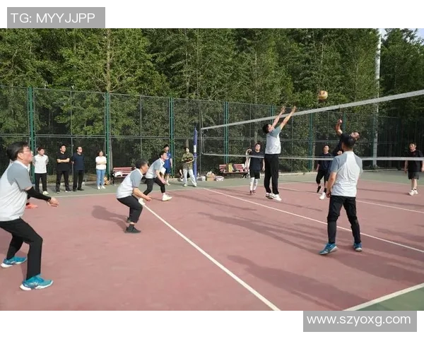 深圳排球队的节奏革新探索与实践推动竞技水平提升的全新路径