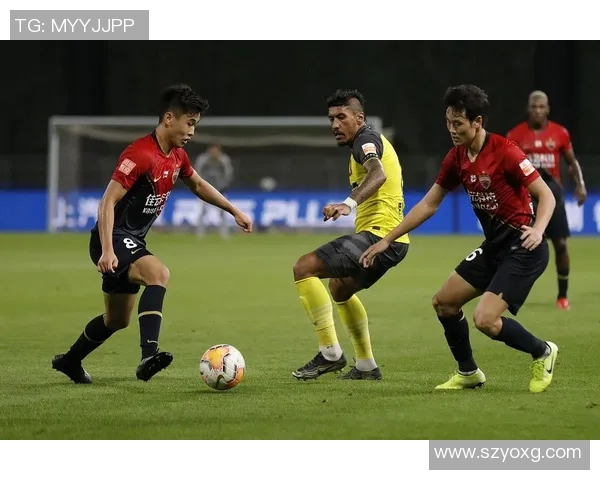 深圳足球队实力飙升创历史新高引发球迷热议与期待