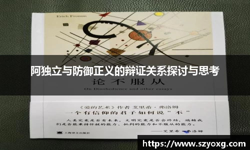 阿独立与防御正义的辩证关系探讨与思考