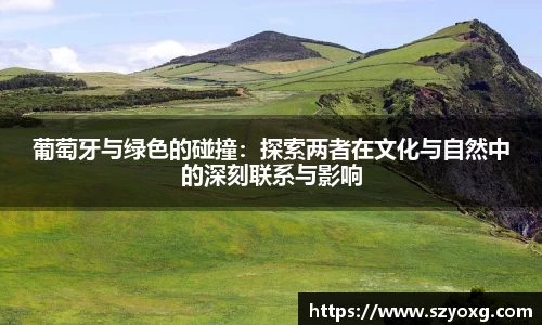 PA视讯