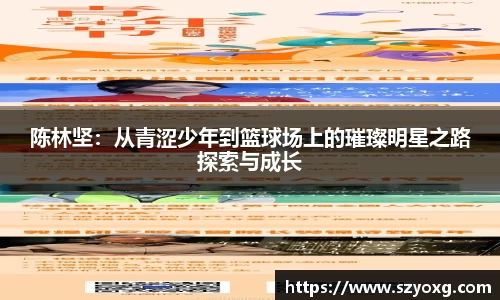 PA视讯